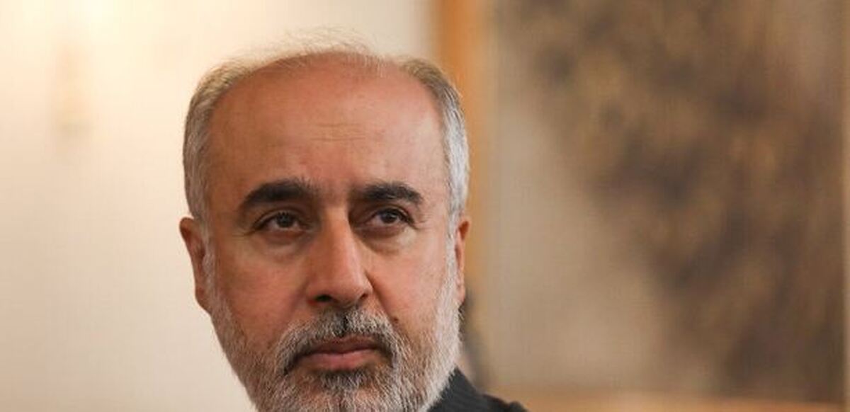 کنعانی: غزه در عمق وجود انسان‌های آزاده جهان، ریشه دارد