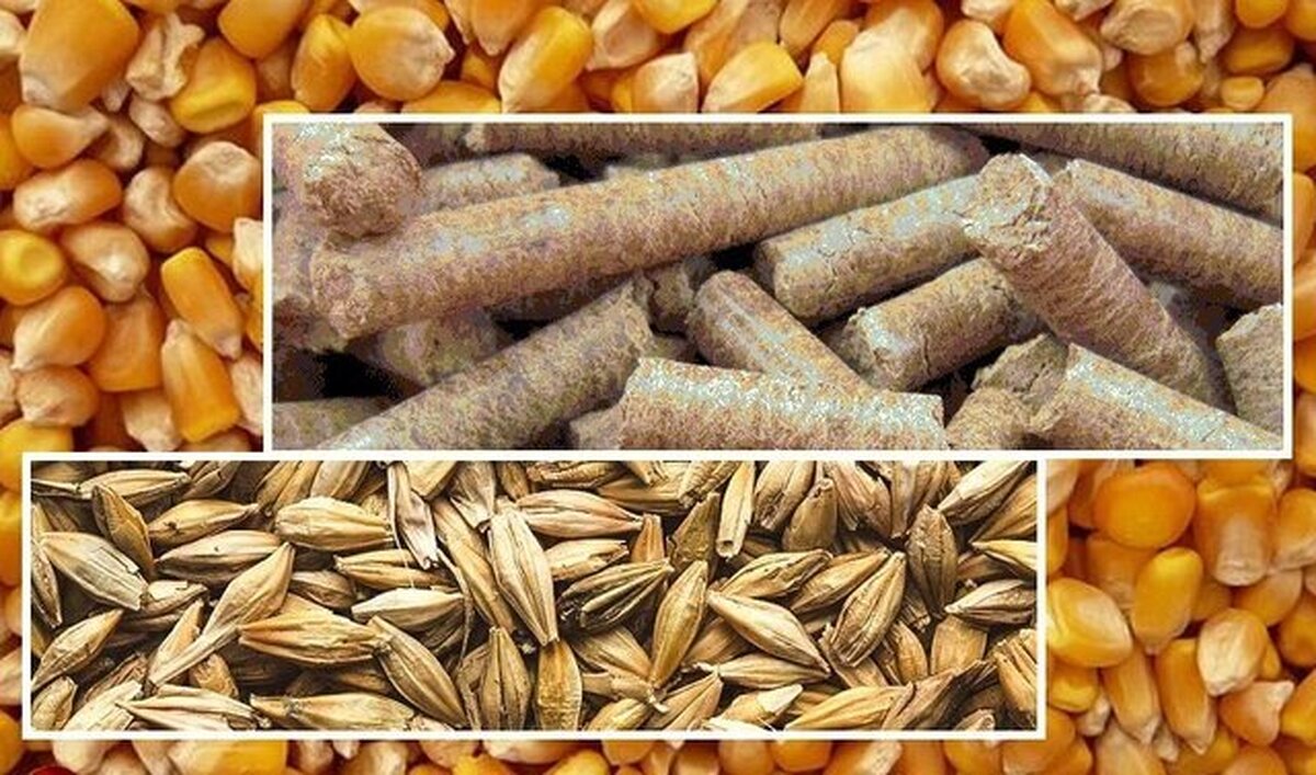 نهاده های دامی قاچاق توسط پلیس در زابل توقیف شد