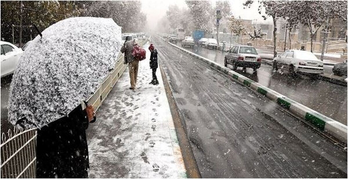 جزئیات جدید در مورد تاریخ ورود سردچال قطبی به ایران