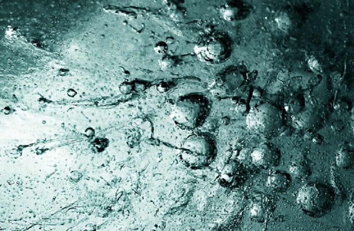 کارشناس ظهور 