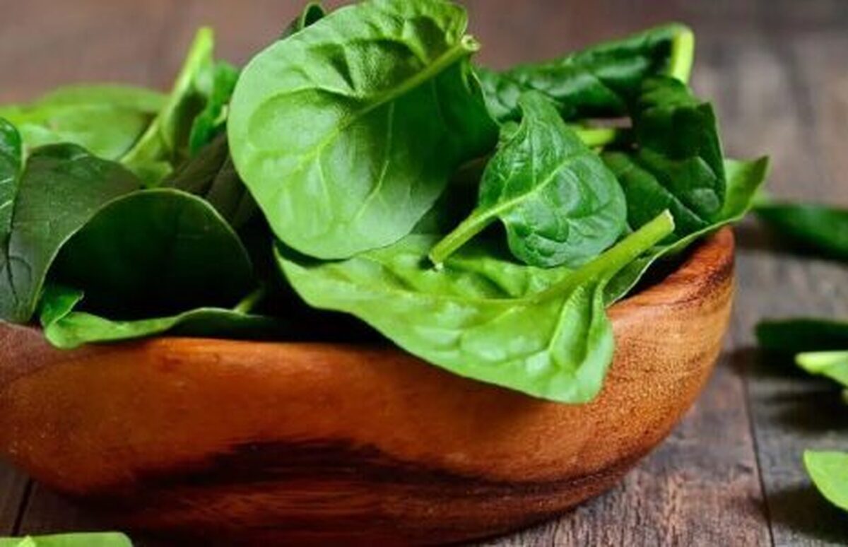اسفناج چگونه منجر به سنگ کلیه میشود؟