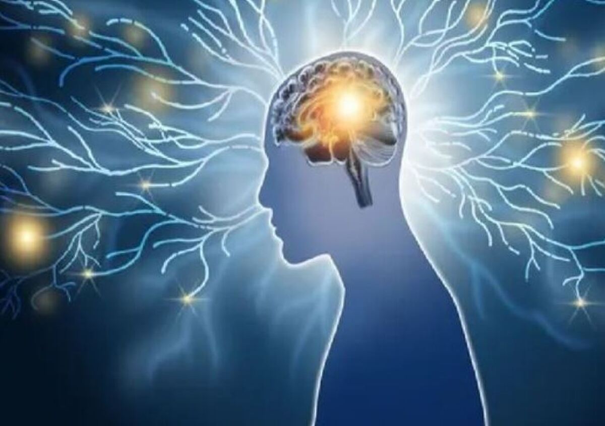 پیشرفته‌ترین تراشه مغزی جهان در دست ساخت!