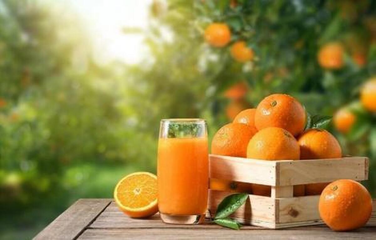 پوست پرتقال را برای فشارخون مصرف کنید!