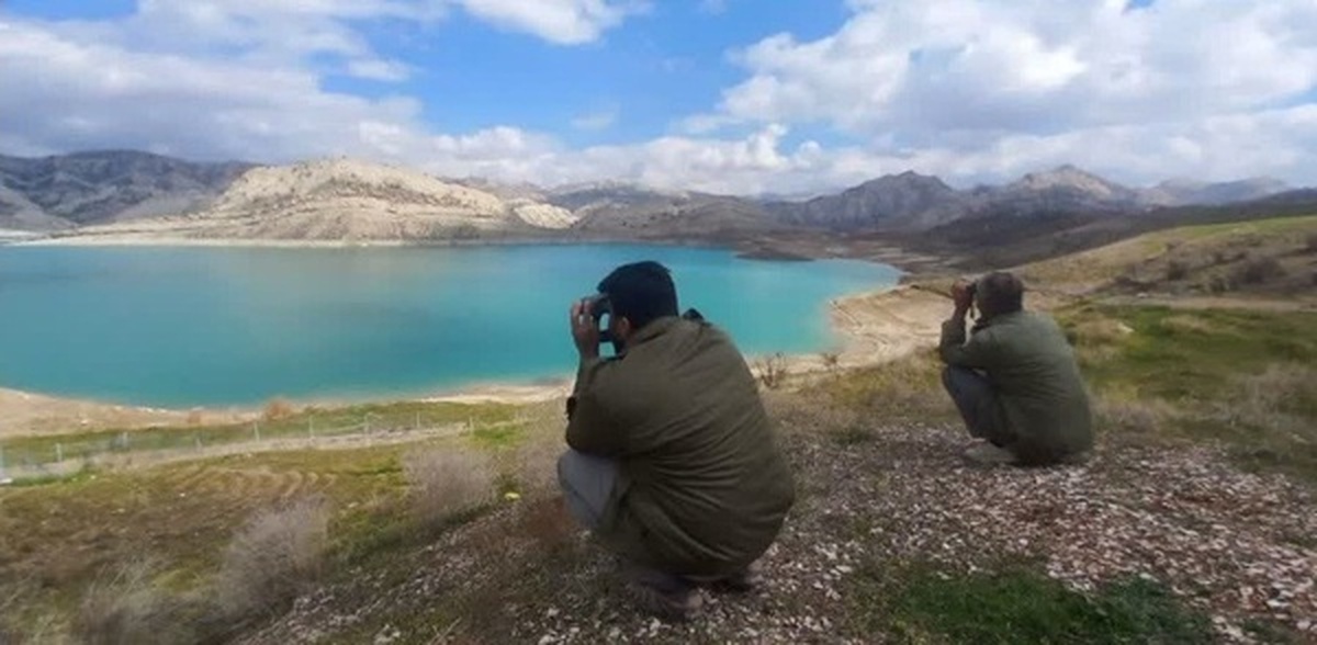 پایش زیستگاه‌های آبی پرندگان مهاجر در شهرستان ایلام