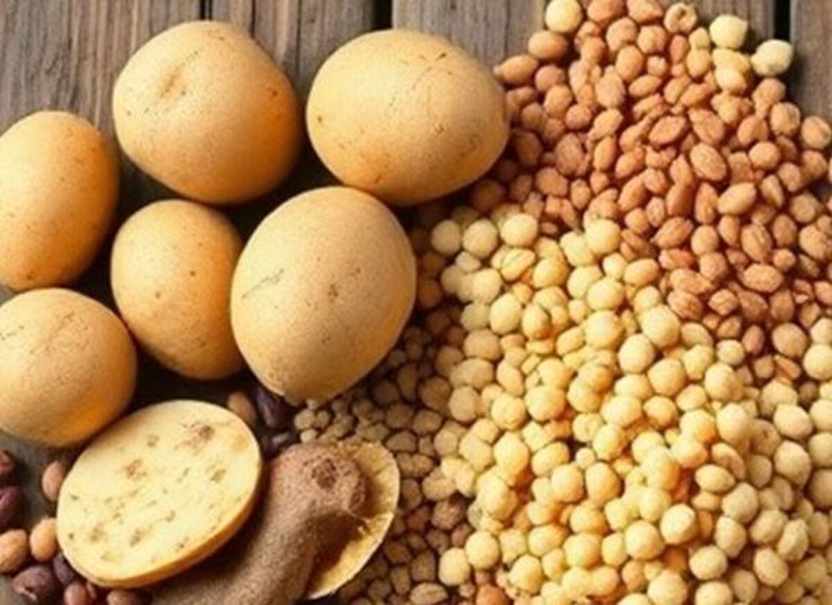 صادرات حبوبات و سیب زمینی از امروز محدود شد