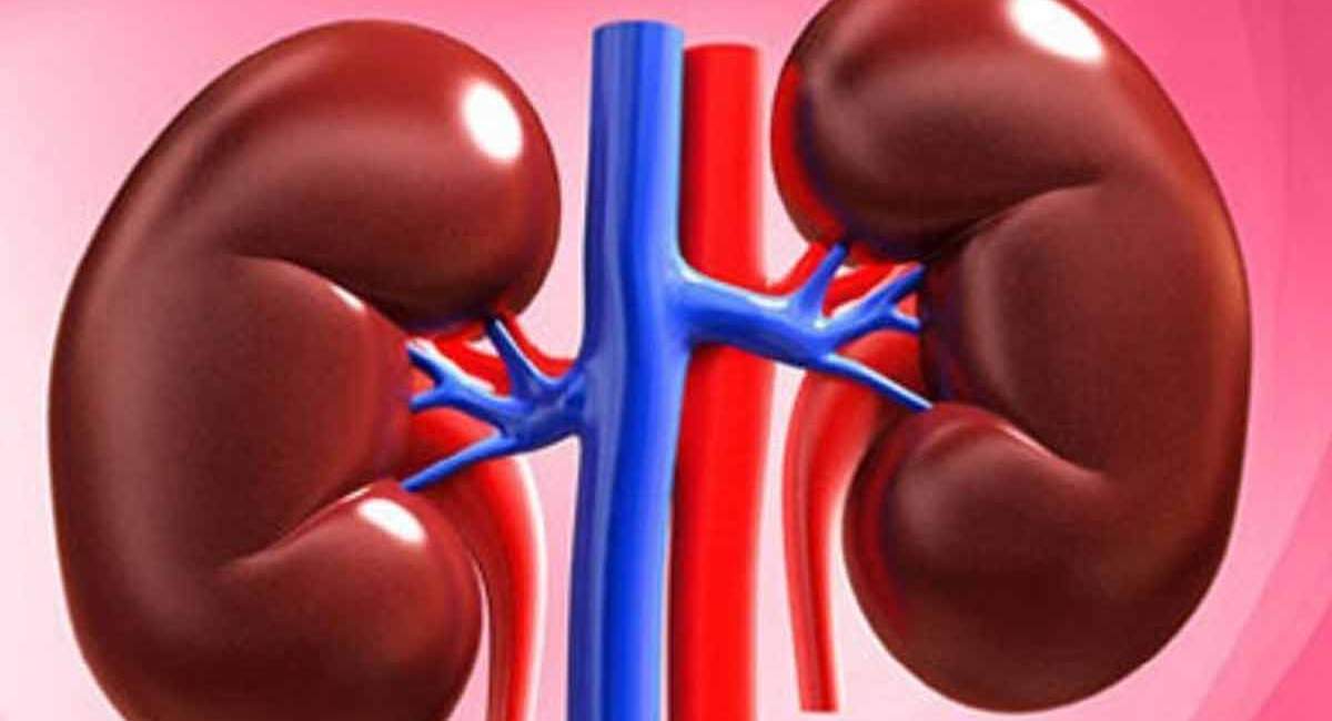 توسعه فرآورده طبیعی مکمل با پوشش مقاوم به اسید معده!