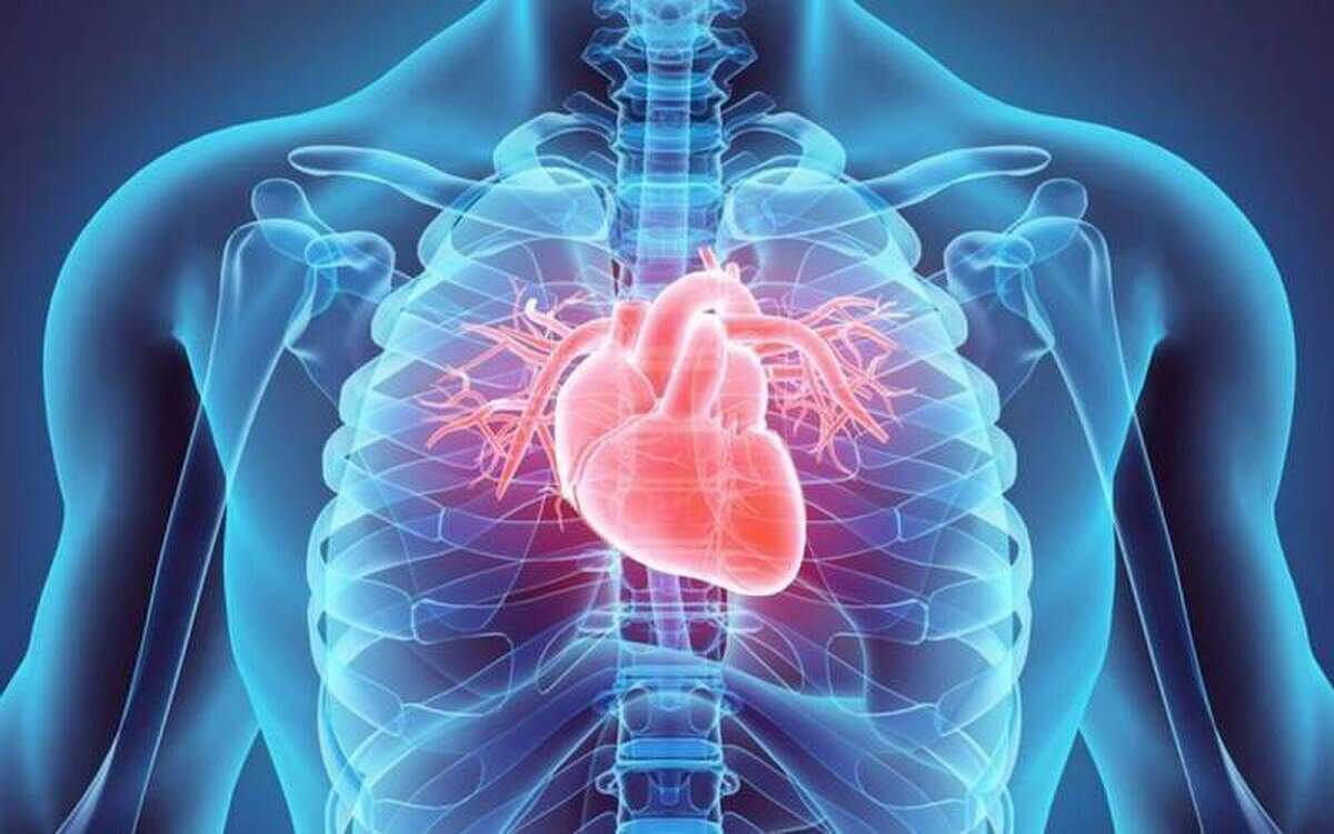 بین این ساعات ورزش کردن خطر حمله قلبی یا سکته مغزی ندارد!