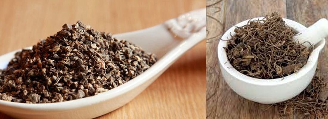گیاه کوهوش سیاه برای درمان چه بیماری‌هایی مفید است؟