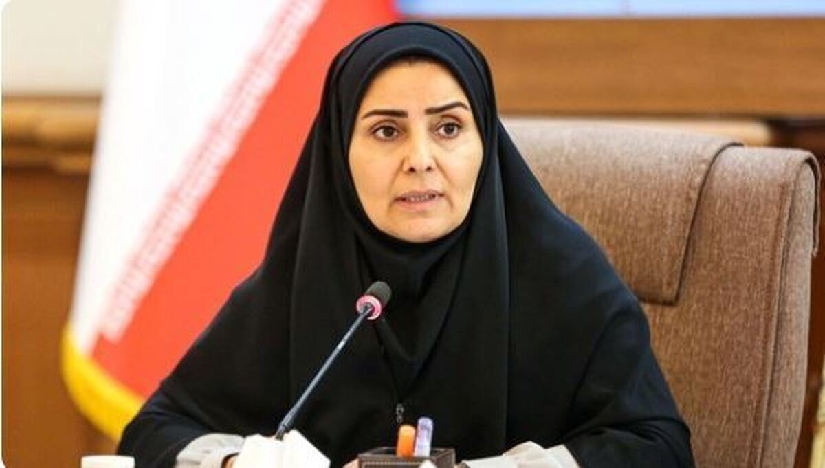 وزیر راه: مسیر ریلی شلمچه برای تردد زوار نوسازی می‌شود