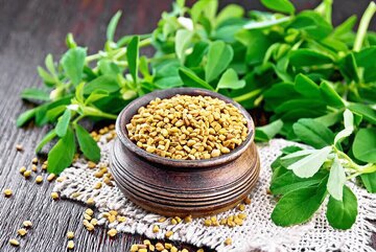 معرفی چند ماده غذایی برای پیشگیری از ابتلا به زوال عقل