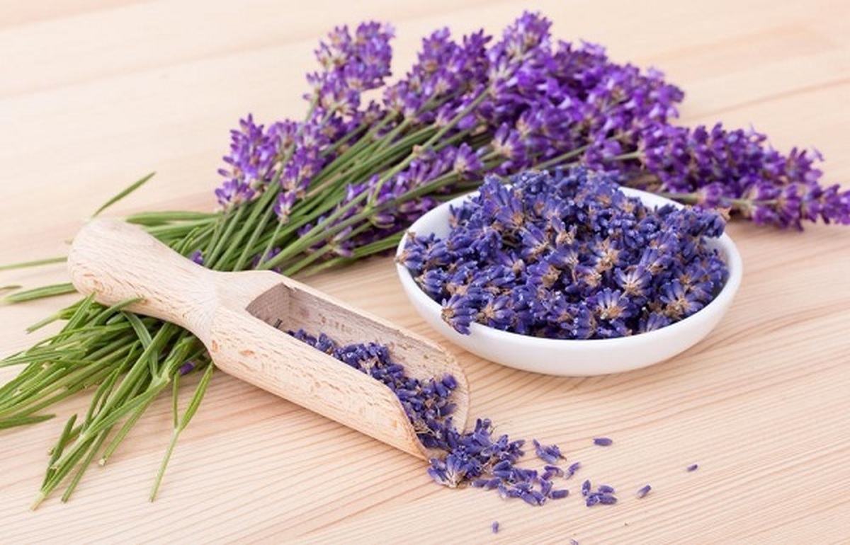 از اسطوخودوس برای رفع چه مشکلاتی میتوان استفاده کرد؟