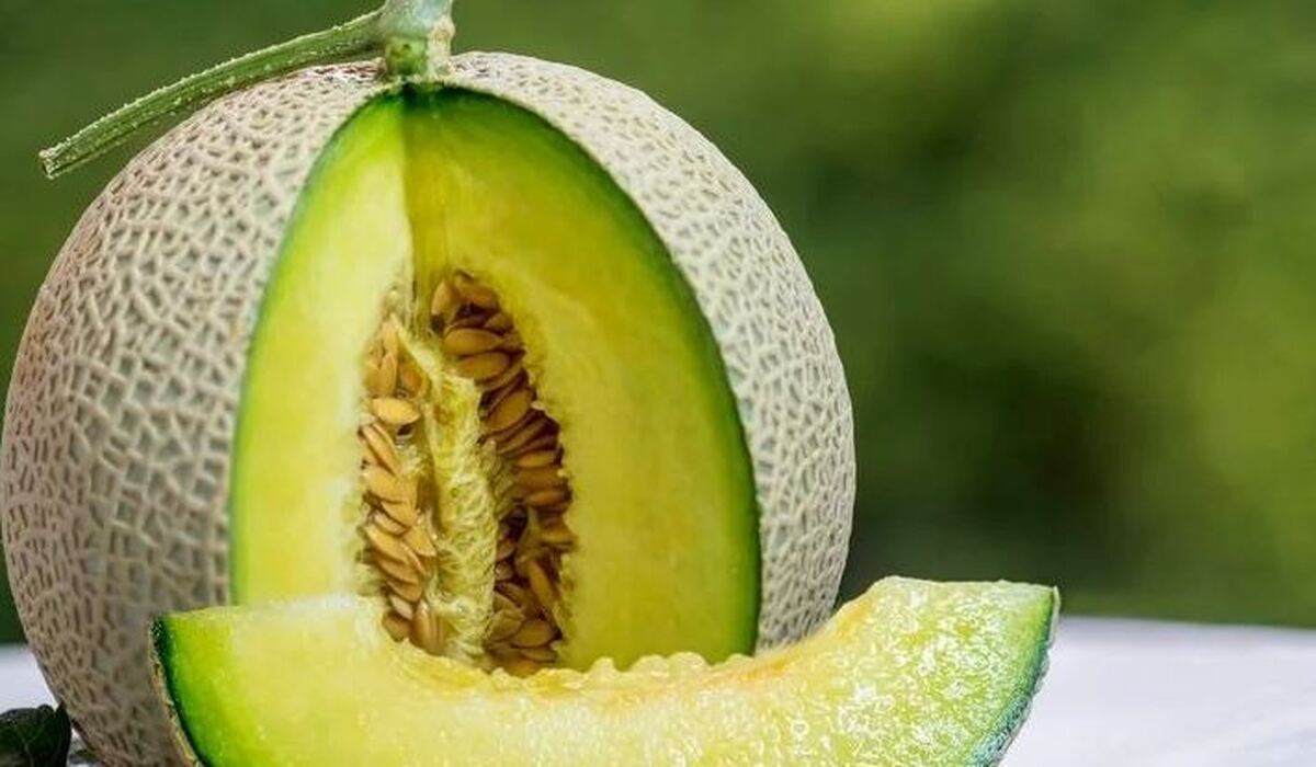 فواید و طبع میوه بهاری ملون چیست؟