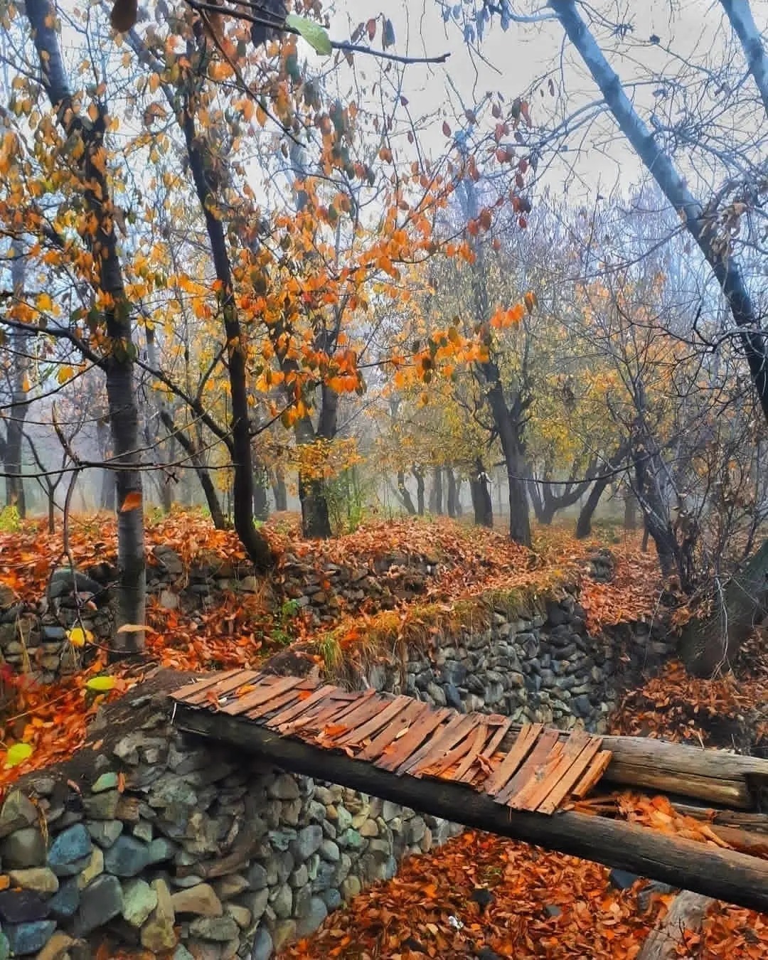 روستای سنگان یک مقصد عالی برای تفریح آخر هفته تهرانی‌ها