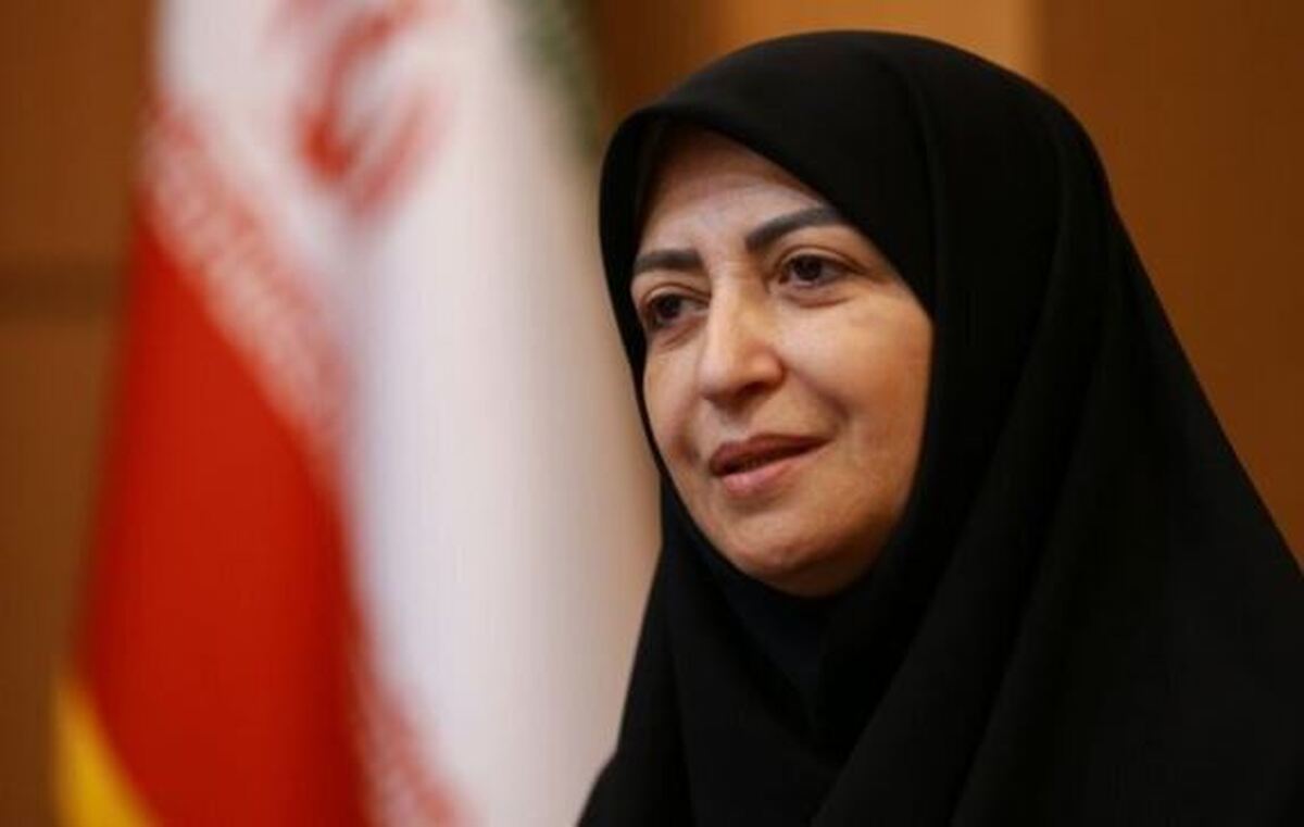 اشاره انصاری به یک مشکل مهم در سازمان حفاظت محیط زیست
