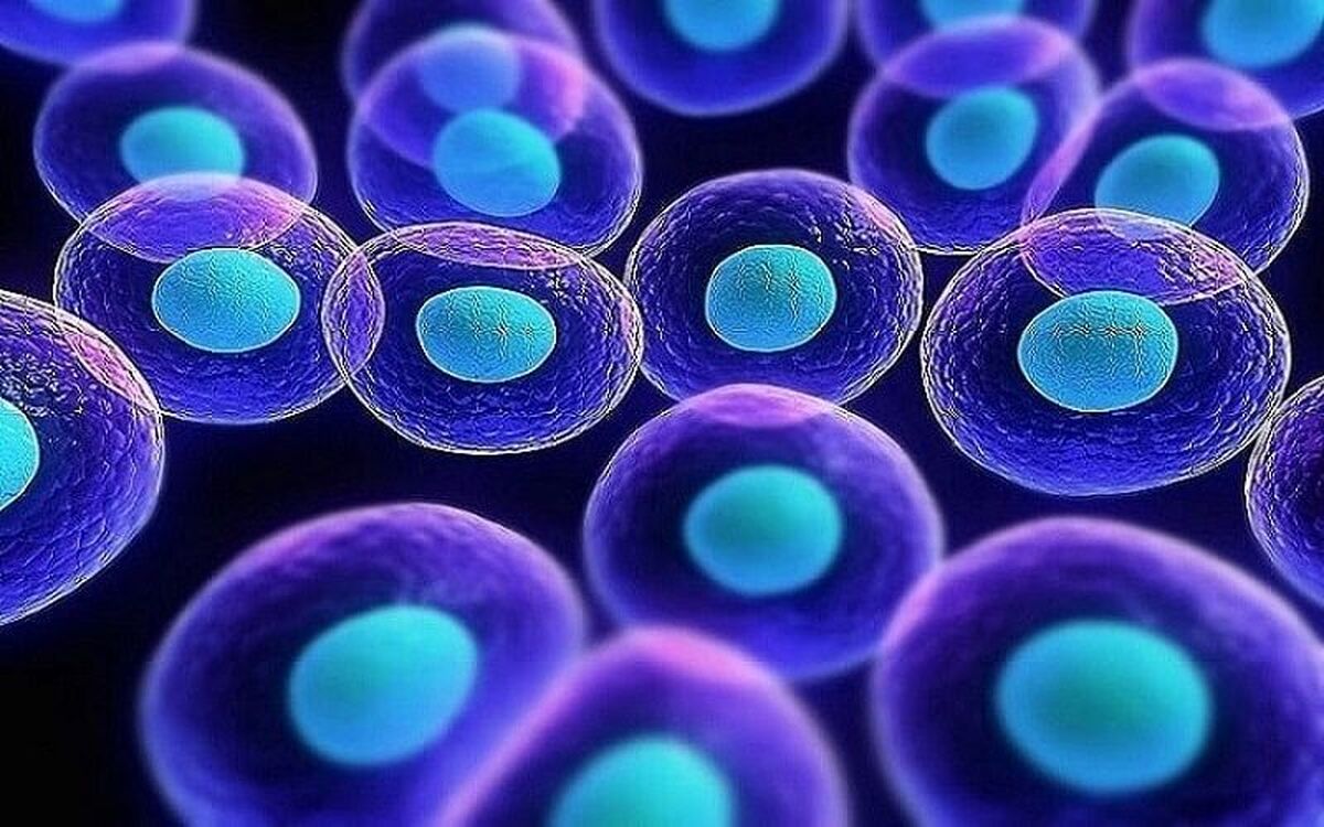 چگونه به ساخت سلول‌های بنیادین کمک کنیم؟