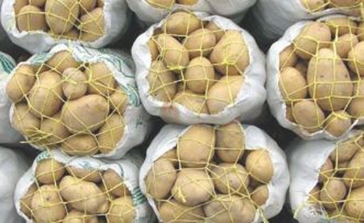 عرضه سیب‌زمینی به بازار از محل ذخایر سازمان مرکزی تعاون روستایی