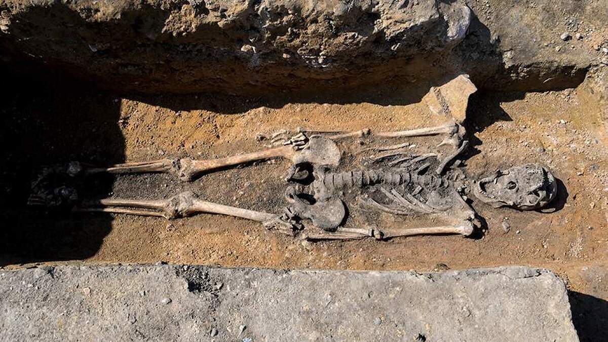 در مکزیک، جسد ۵۶ نفر در یک محل دفن مخفی پیدا شد