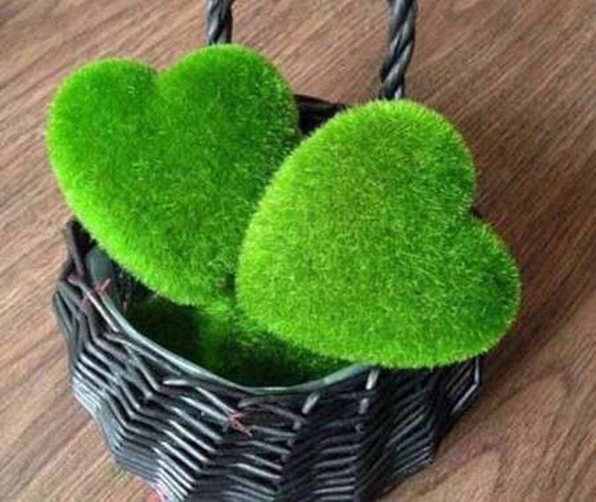 پیشنهاد‌های ساده و خاص برای داشتن سبزه عید متفاوت