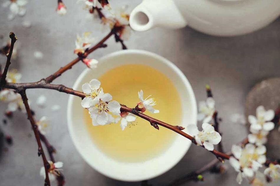چای سفید؛ یک معجزه کمتر شناخته شده در جهان برای سلامتی