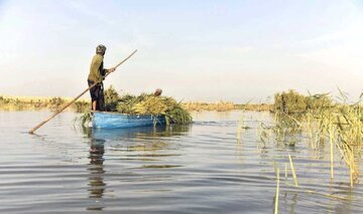 تالاب بین المللی هامون دوباره جان گرفت