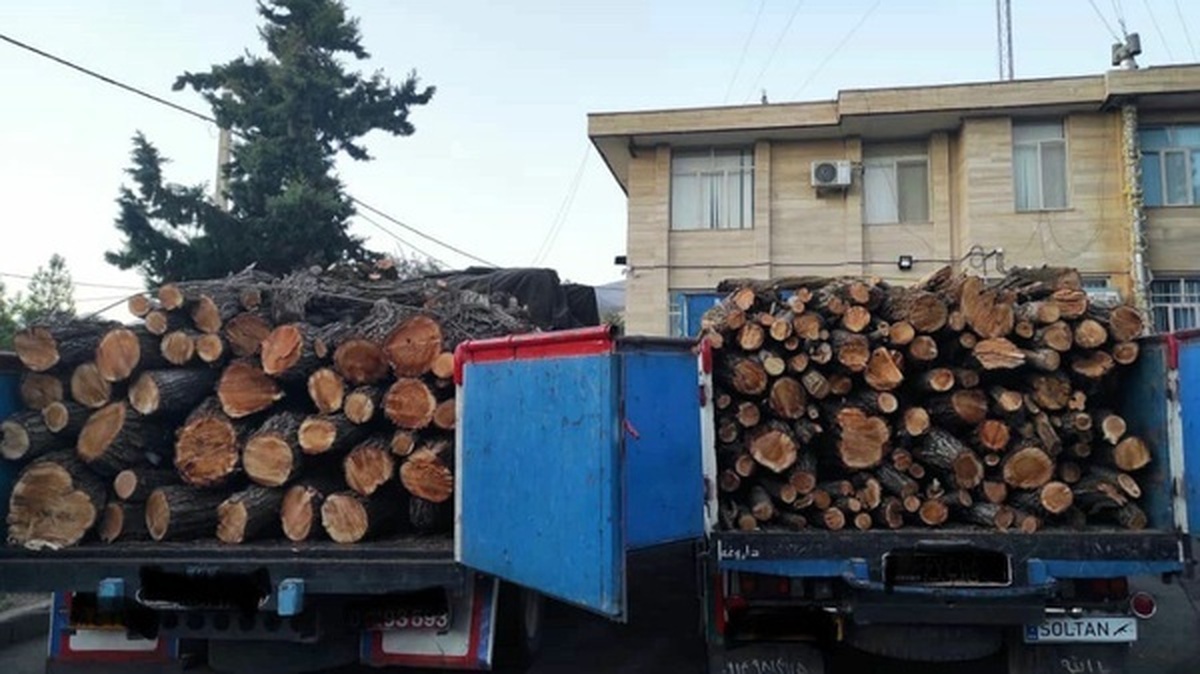 قاچاق بیش از ۴۷ هزار تن چوب و ذغال در چهارمحال و بختیاری