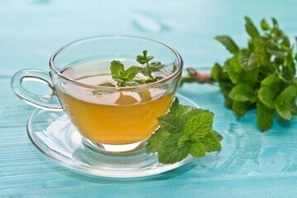 درمان تب‌خال و تسکین سرفه با دمنوش خوش عطر پونه کوهی
