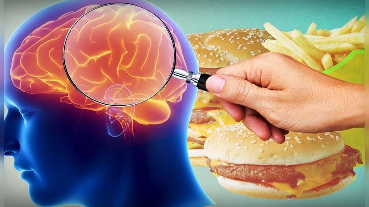 نقش مغز در تجمع چربی و چاقی در بدن!