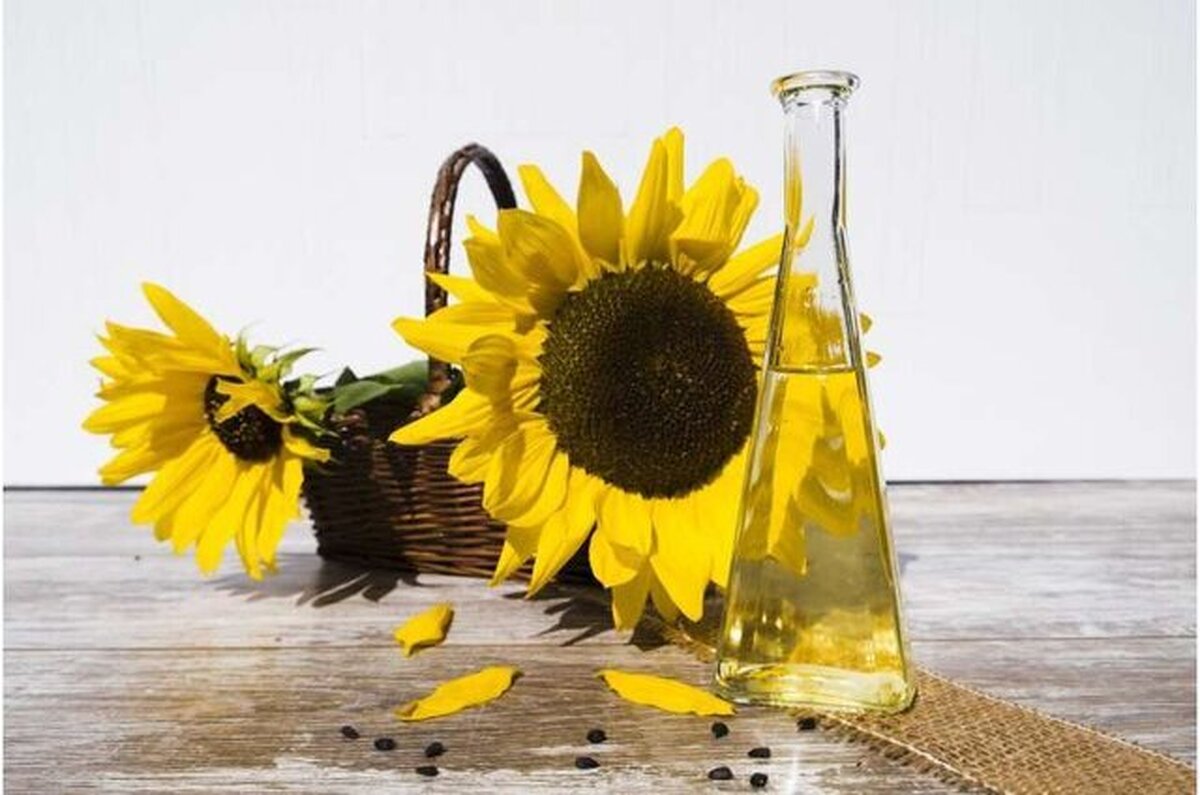 چرا روغن دانه‌ها مضر شناخته میشوند؟
