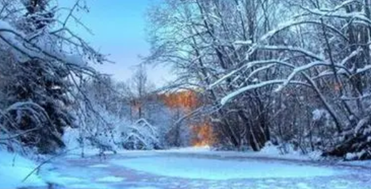 نوعی کرم لوله‌ای که در یخبندان هم زنده میماند!
