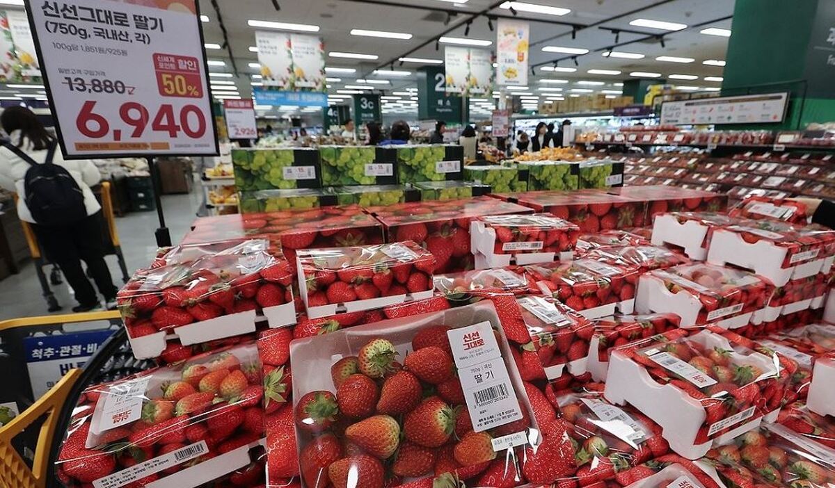 کره جنوبی برای صادرات توت فرنگی با برزیل قرارداد قرنطینه امضا کرد
