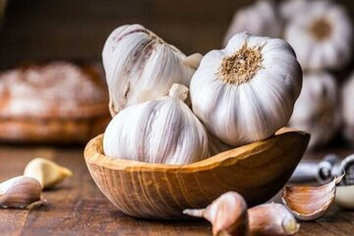 آیا می‌دانید سیر بر خلاف بوی بد و زننده اش چه خواصی دارد؟