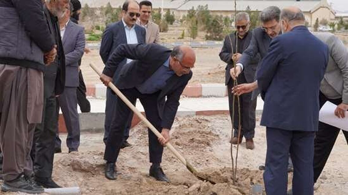 کاشت ۲۵۰۰ نهال به یادگار در دانشگاه علوم پزشکی زاهدان
