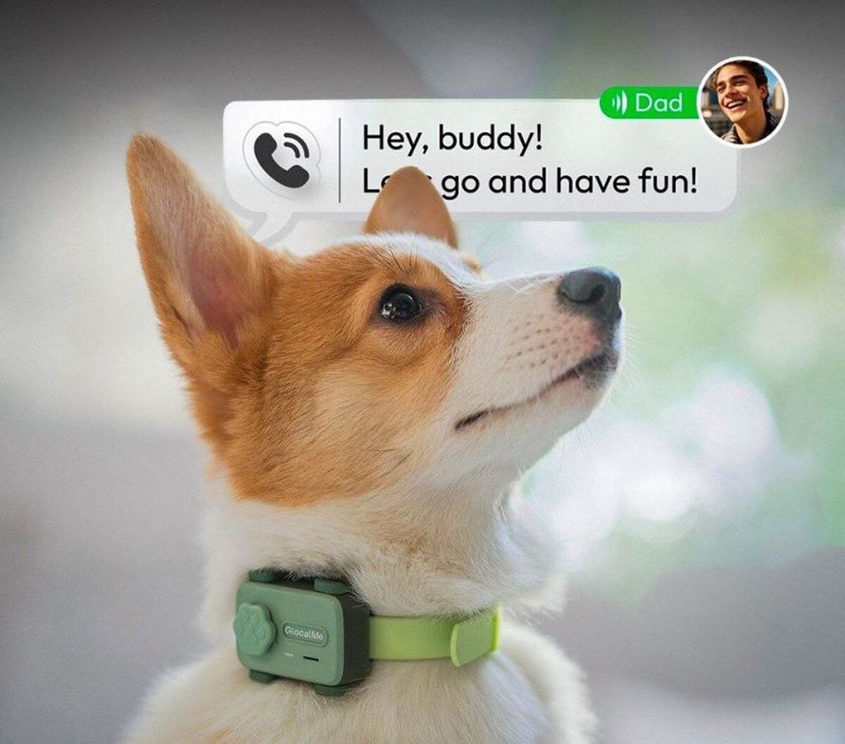 «PetPhone» اختراع جدید مخصوص حیوانات خانگی