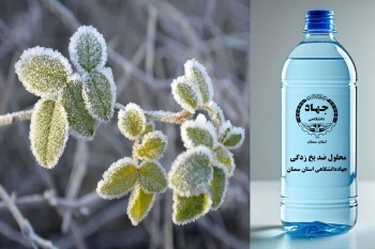 محلول ضد یخ این بار برای درختان و گیاهان!
