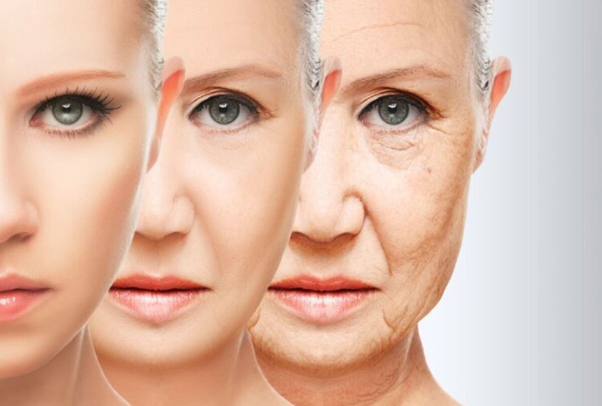 موثر‌ترین ماده غذایی برای درمان چین و چروک صورت را بشناسید