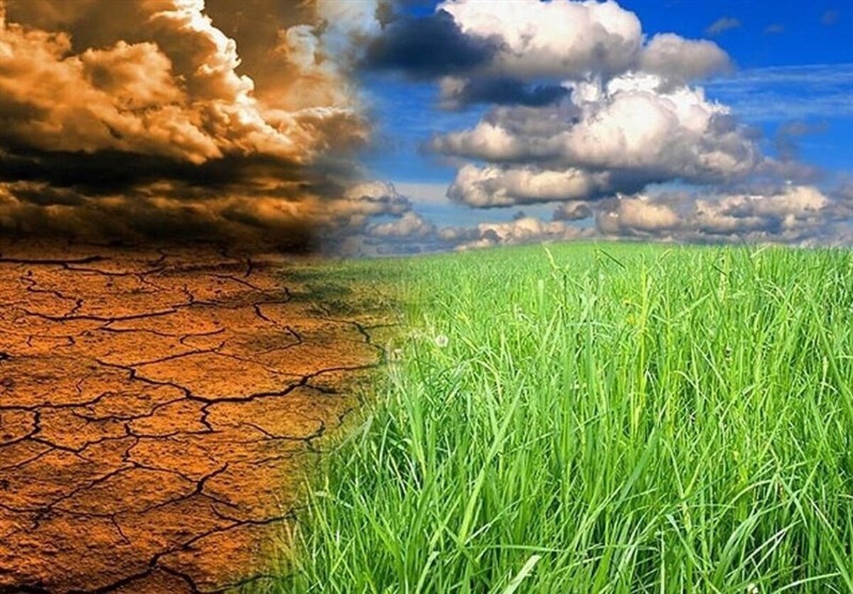 تامین آب ۴۲درصد کشور از ۱۱ استان/۲هزار گونه گیاهی در کردستان