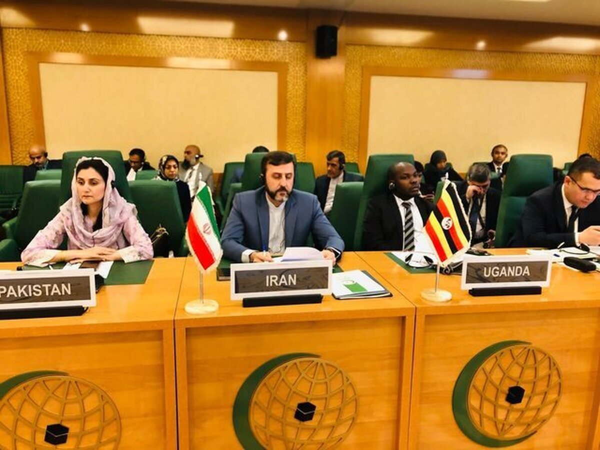 برگزاری نشست کارشناسان اجلاس اضطراری وزرای خارجه سازمان همکاری اسلامی