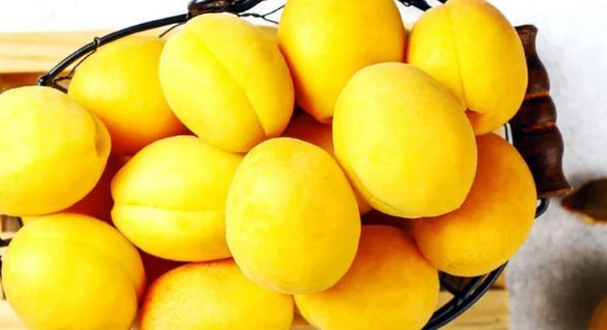 خواص و ارزش غذایی زردآلو که از آن بی خبرید