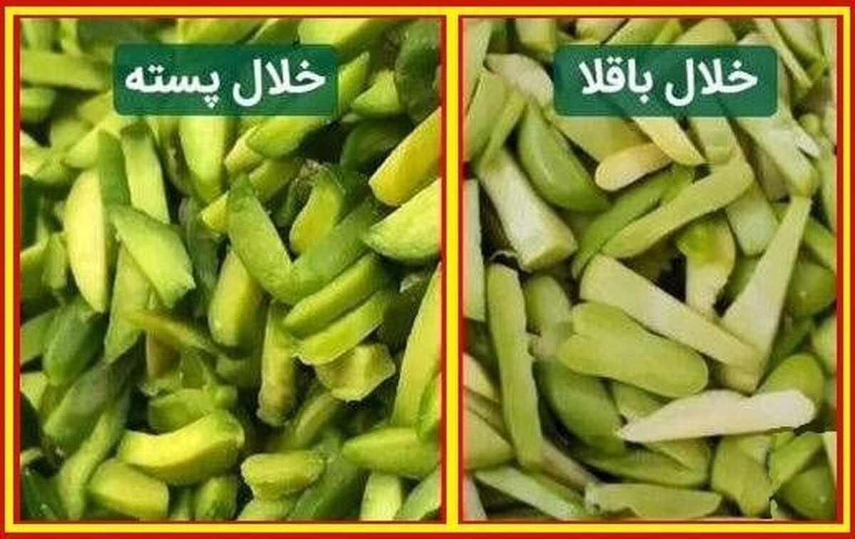 مراقب خلال پسته‌های تقلبی باشید!