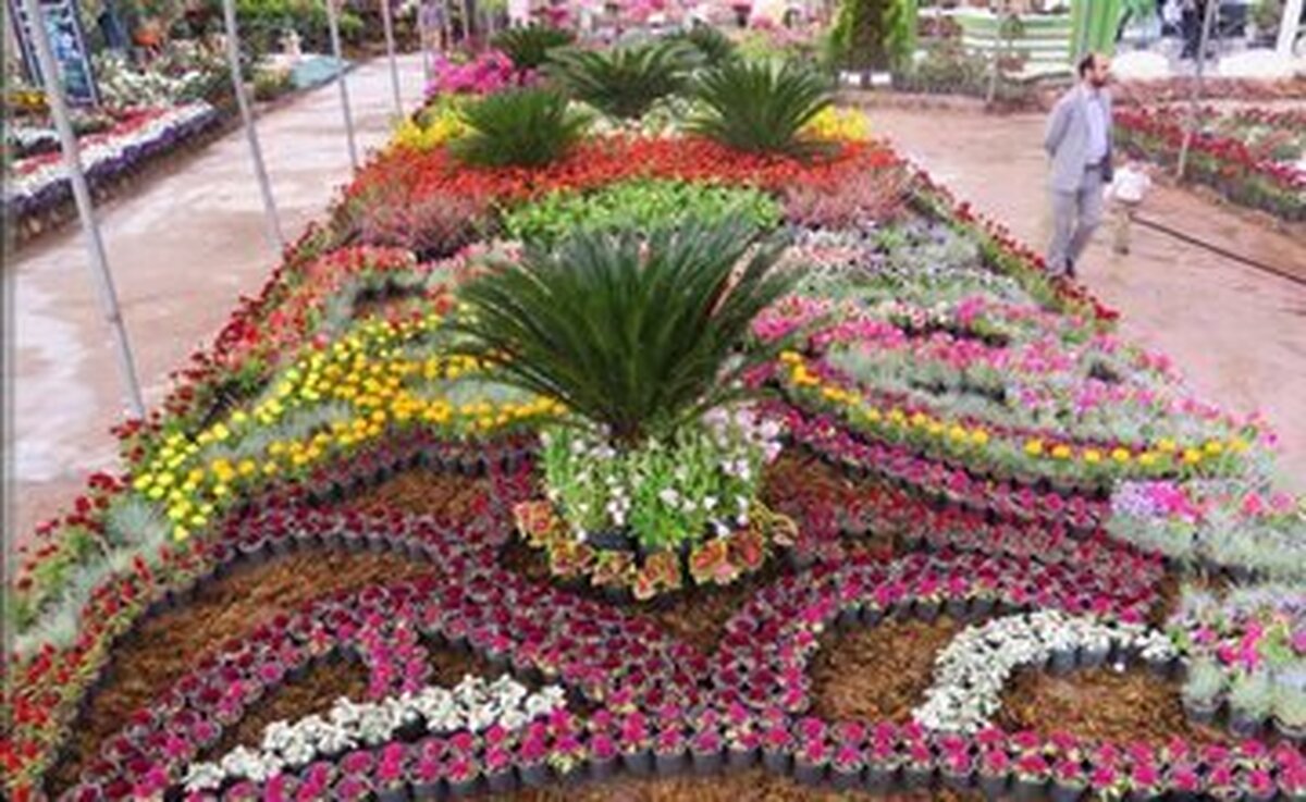 برنامه ریزی شهرداری همدان برای کاشت ۲ میلیون بوته گل فصلی در بوستان‌ها، پارک ها، بلوار‌ها و سایر فضا‌های سبز