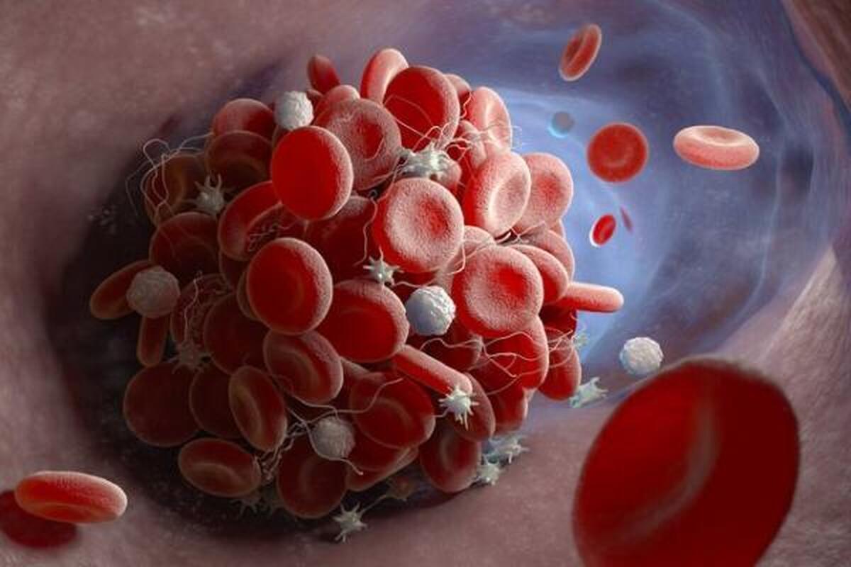 گلبول‌های سفید چه نقشی در سلامتی دارند؟