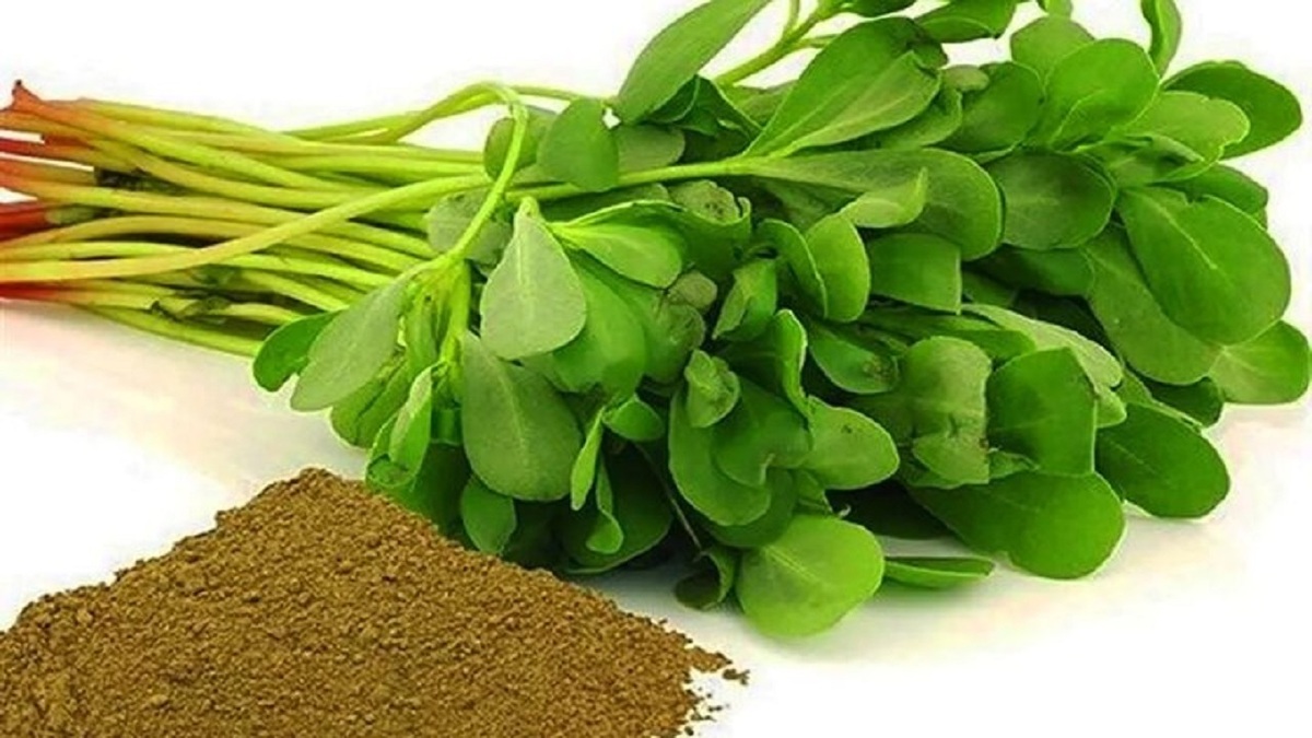 خرفه مناسب برای دیابت