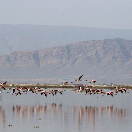 روستای حسنلو؛ مکانی غنی از جاذبه‌های تاریخی و طبیعی که در حقش کم لطفی شده!