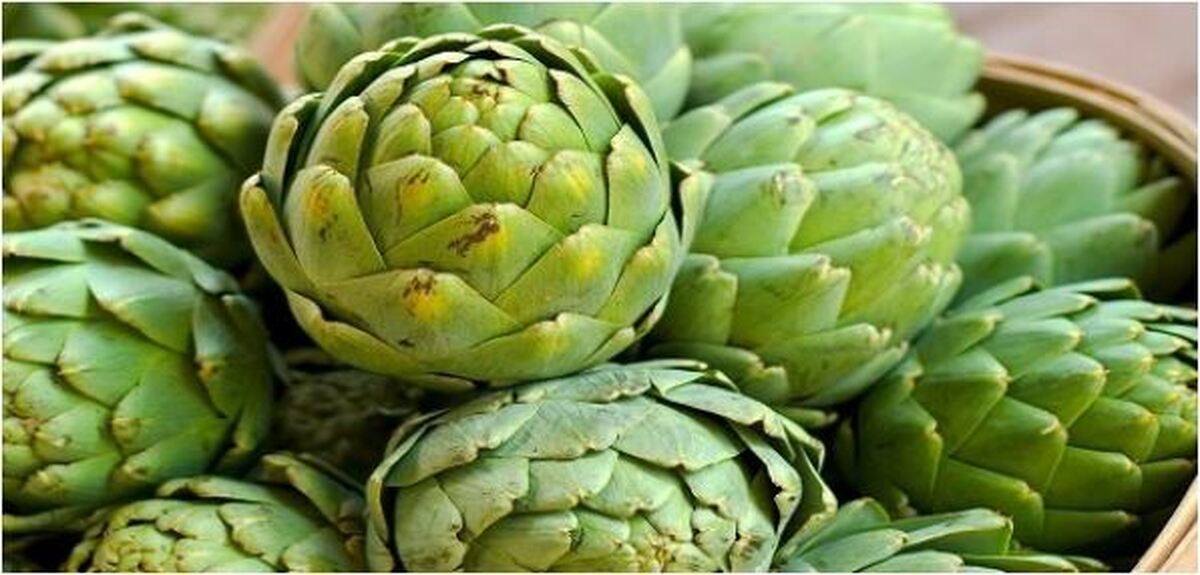 با مصرف این سبزیجات به جنگ سفید شدن مو‌ها بروید