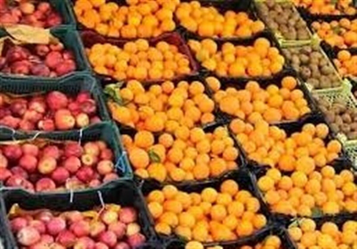 ذخیره‌سازی ۲۰۰ تن میوه شب عید در خراسان جنوبی