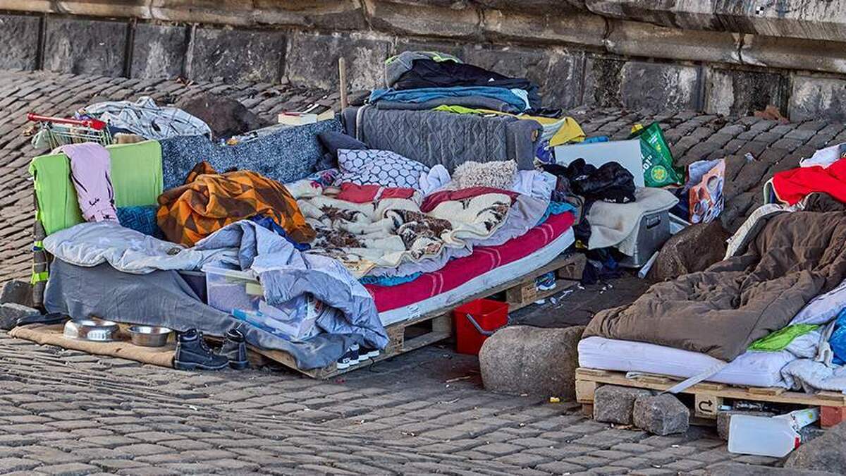 ترامپ خواستار حذف تمامی کمپ‌های بی خانمان‌ها در واشنگتن شد