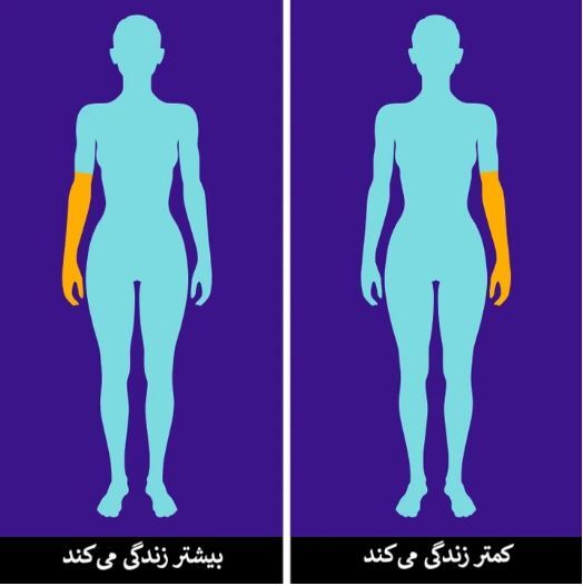 اگر این نشانه‌ها را دارید یعنی عمری طولانی خواهید داشت!