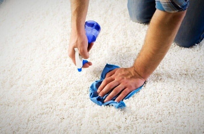 چگونه بوی ادرار سگ و گربه را از روی فرش ببریم؟