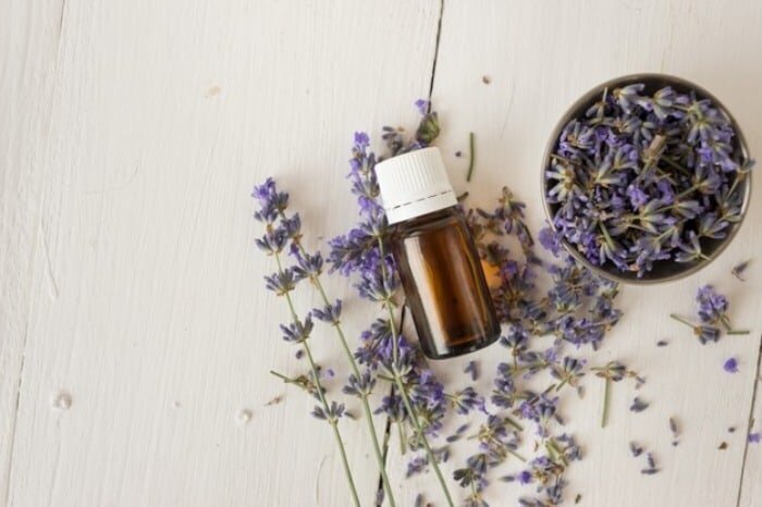 چگونه بوی ادرار سگ و گربه را از روی فرش ببریم؟