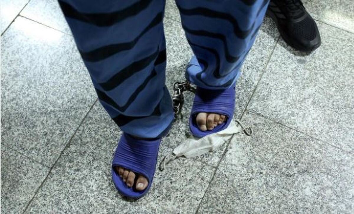 دستگیری ۳۵۵ سارق در پی طرح عملیاتی مبارزه با سرقت منزل